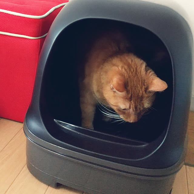 ronさんの実例写真
