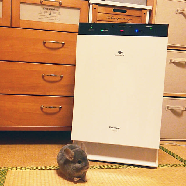 sakusakuさんの実例写真
