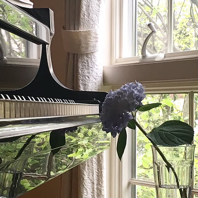Claraさんの実例写真