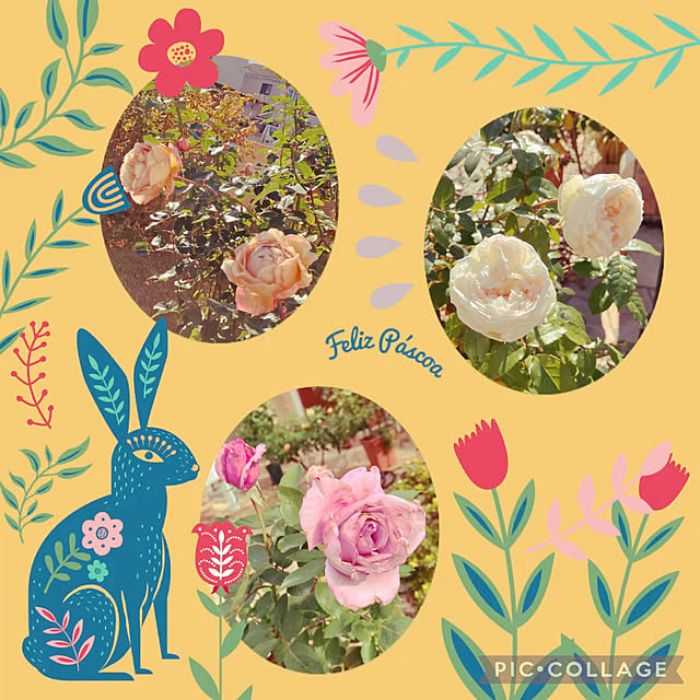 nbby16さんの部屋