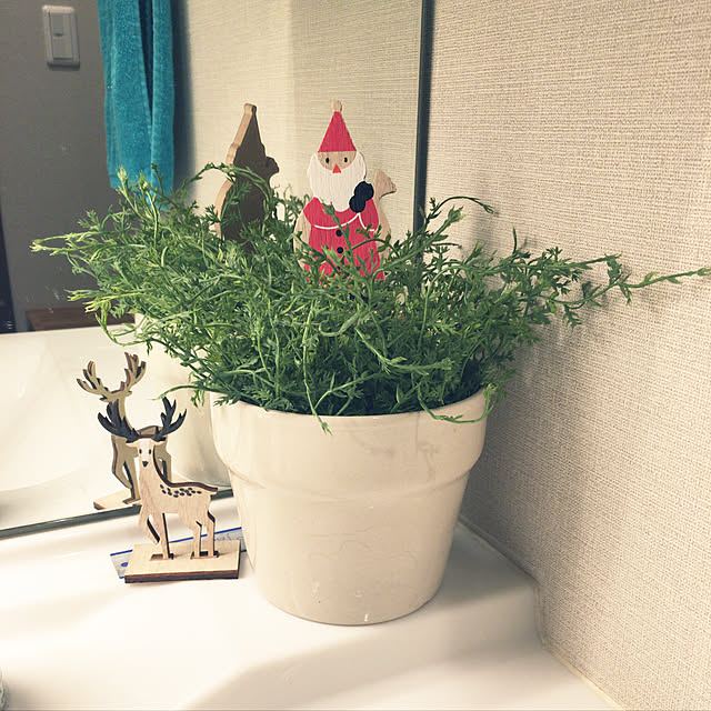 Masakoさんの実例写真