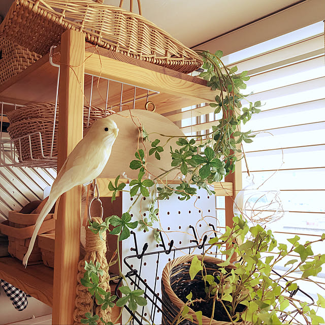 piyoさんの実例写真