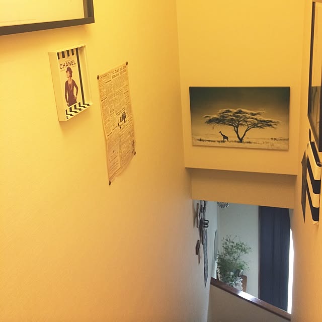 painmomoさんの実例写真