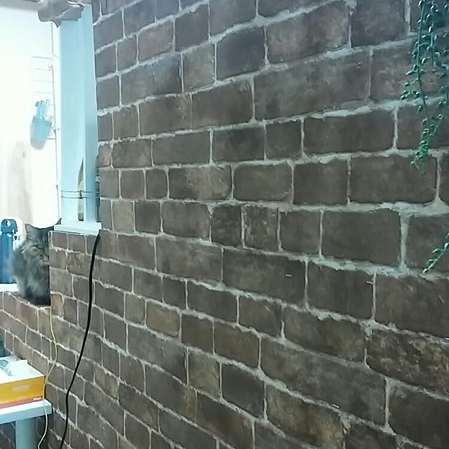 hirokoさんの実例写真