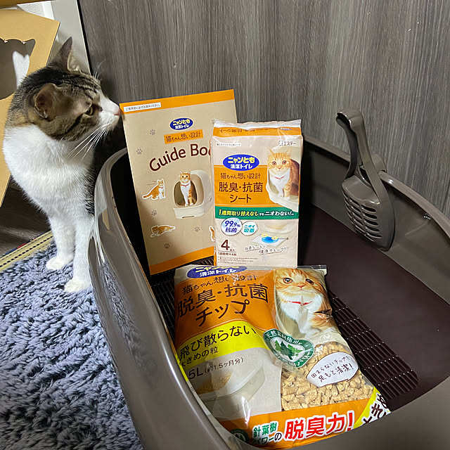 arashi530さんの実例写真