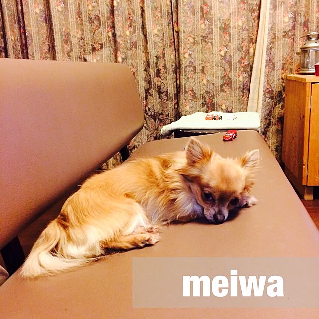 meiwaさんの実例写真