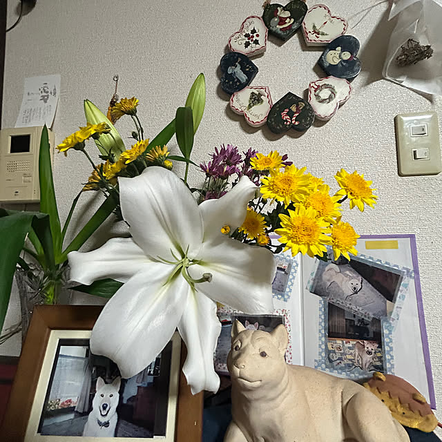 ritsukoさんの実例写真