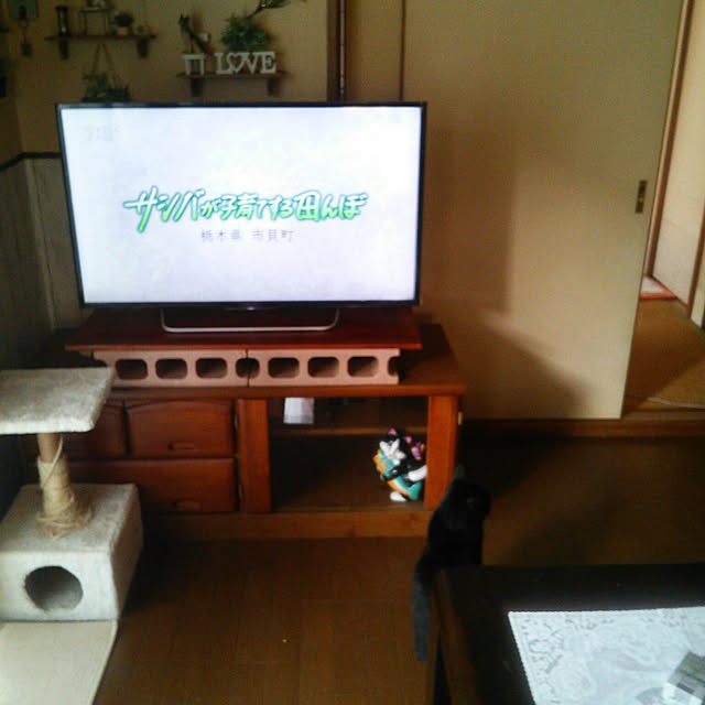 Tomopさんの実例写真