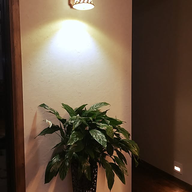 satukori0204さんの実例写真