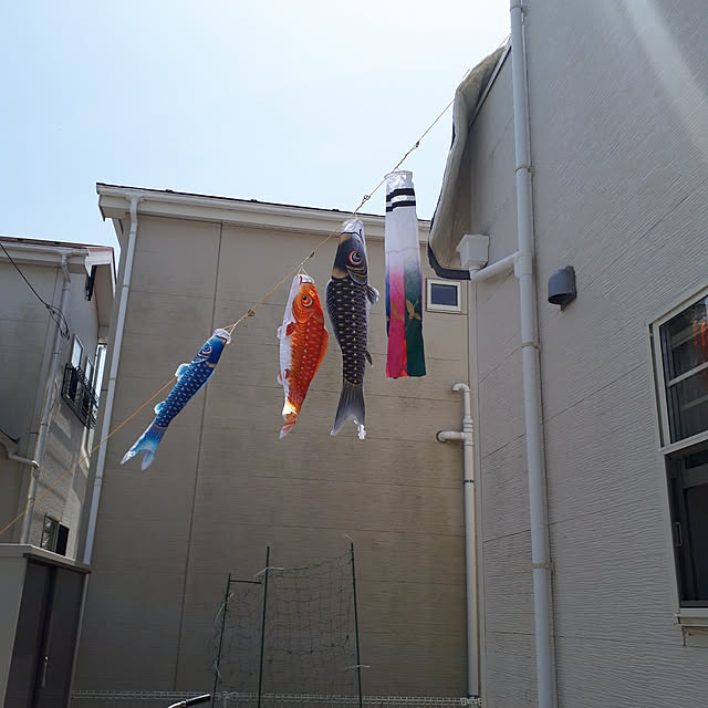 shanaさんの実例写真