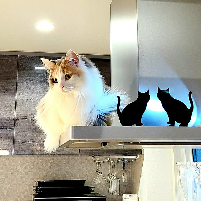 akiko6193さんの実例写真