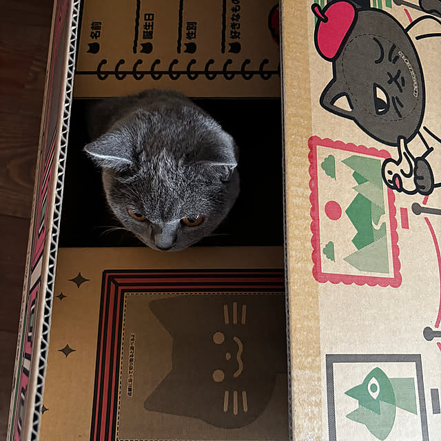 lulu1109さんの実例写真