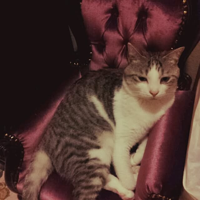 emmyyさんの実例写真