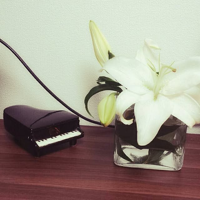 maestroさんの実例写真