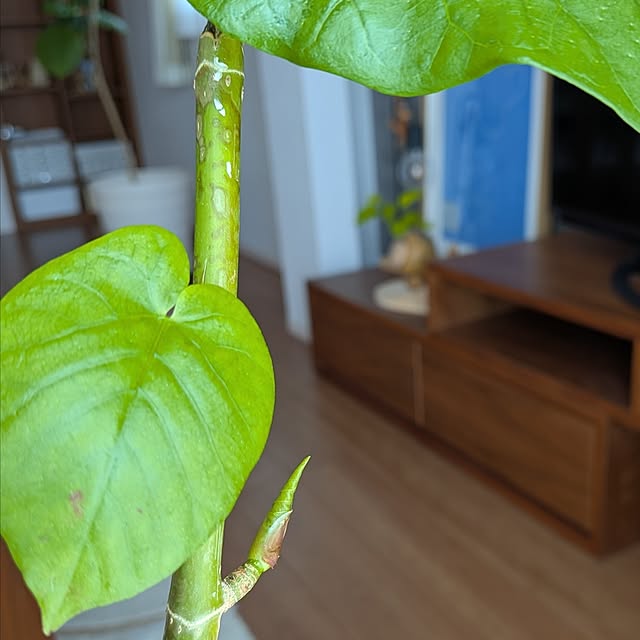 tan5さんの部屋