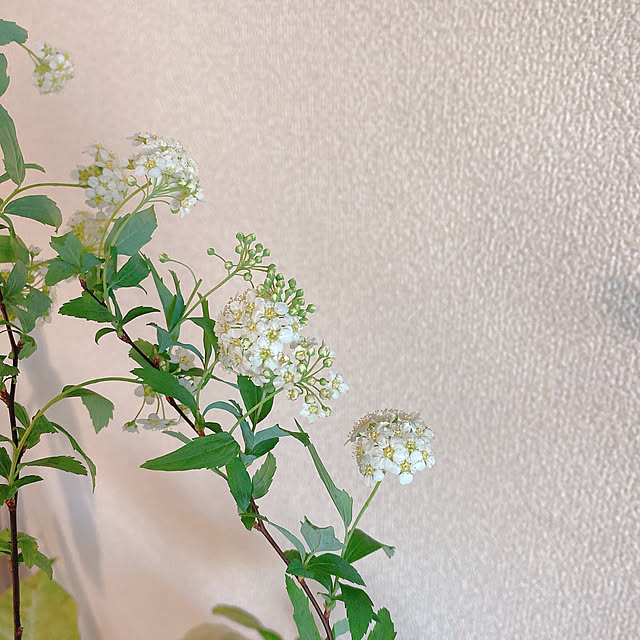 smallroomさんの部屋