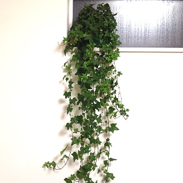 kinoさんの実例写真