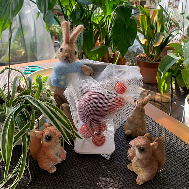 Aqettyさんの実例写真