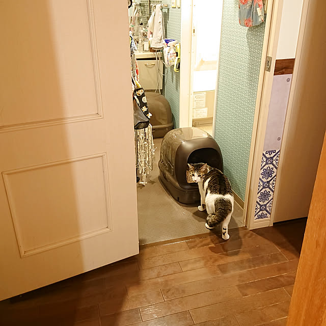 okyosan101さんの実例写真