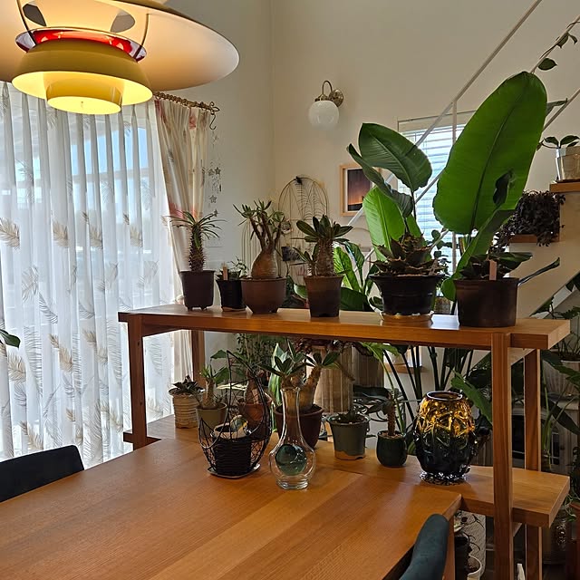nonbiri_house_さんの部屋
