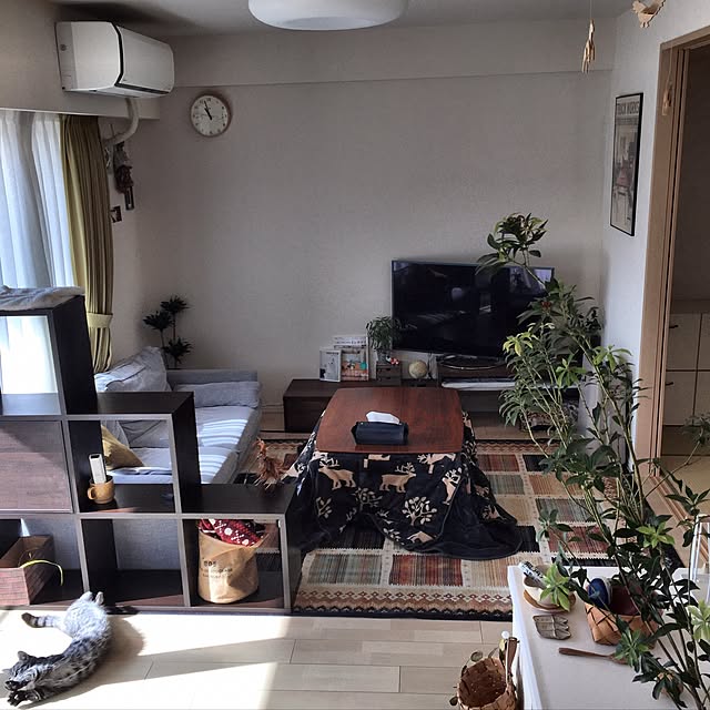 chi-taroさんの実例写真