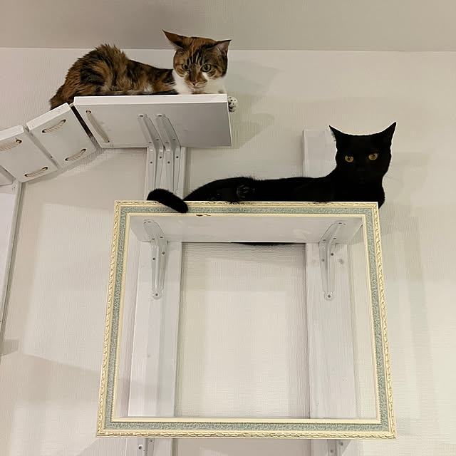 nazunaさんの部屋