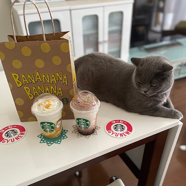 kittyさんの実例写真
