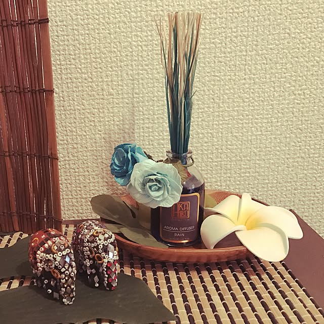 beginnerさんの実例写真