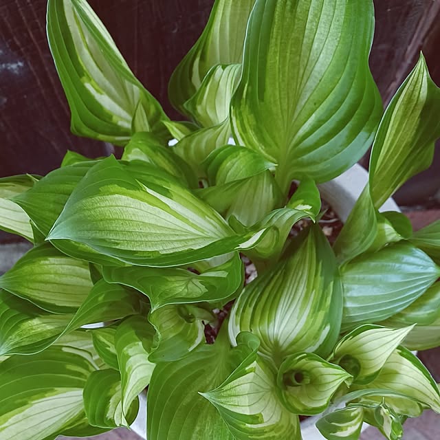 hiro.904さんの部屋