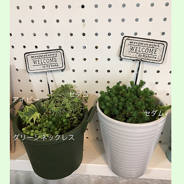 akezouさんの実例写真