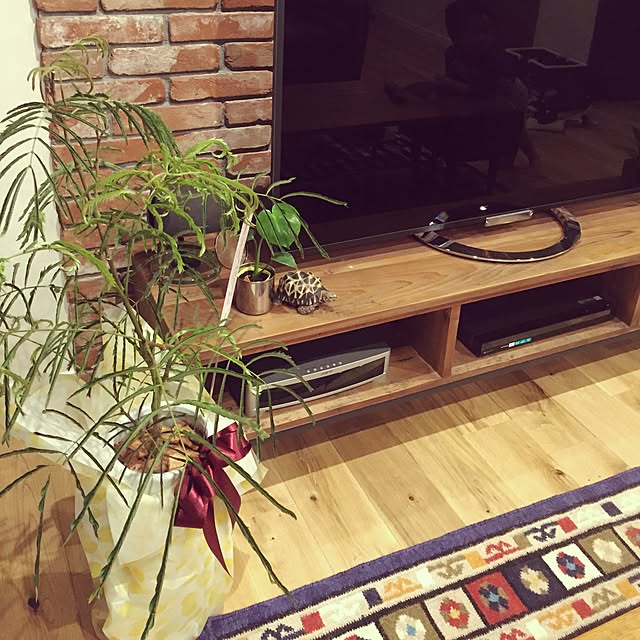 maikoさんの実例写真
