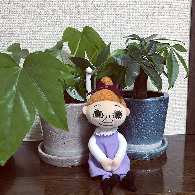 norichanさんの実例写真