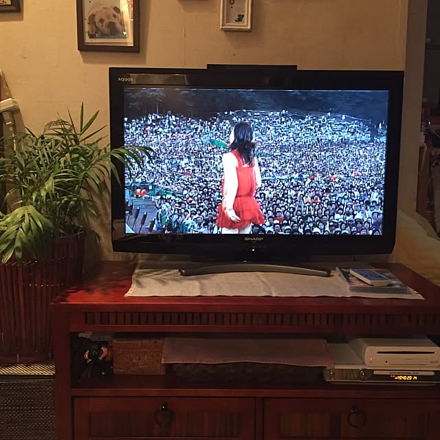 sacchiさんの実例写真