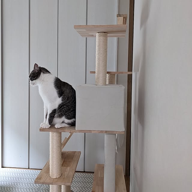 papyjetさんの実例写真