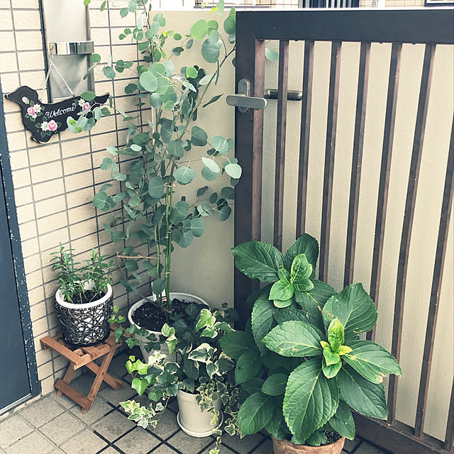 hirocoooooさんの実例写真