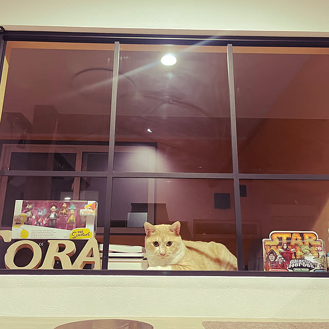 taachingさんの部屋