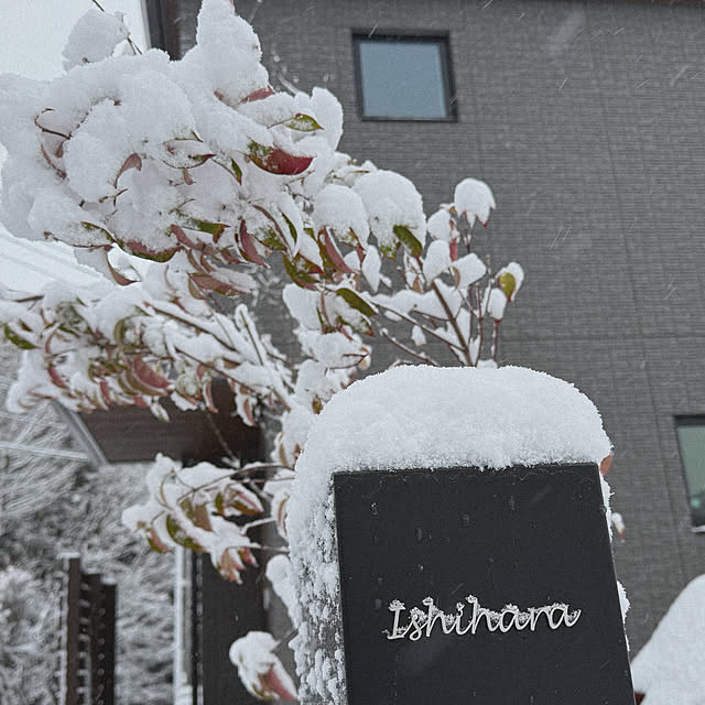 shior_i1108さんの部屋