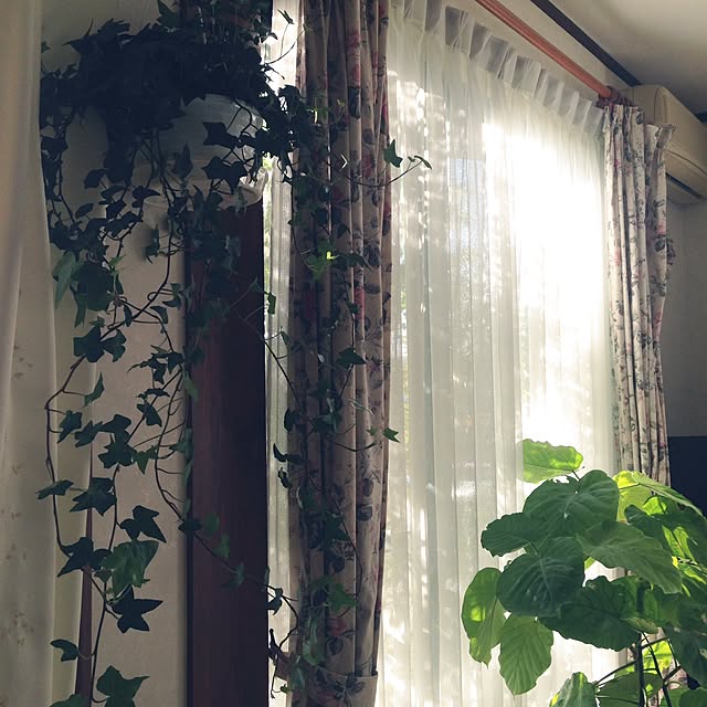 RosePanierさんの実例写真