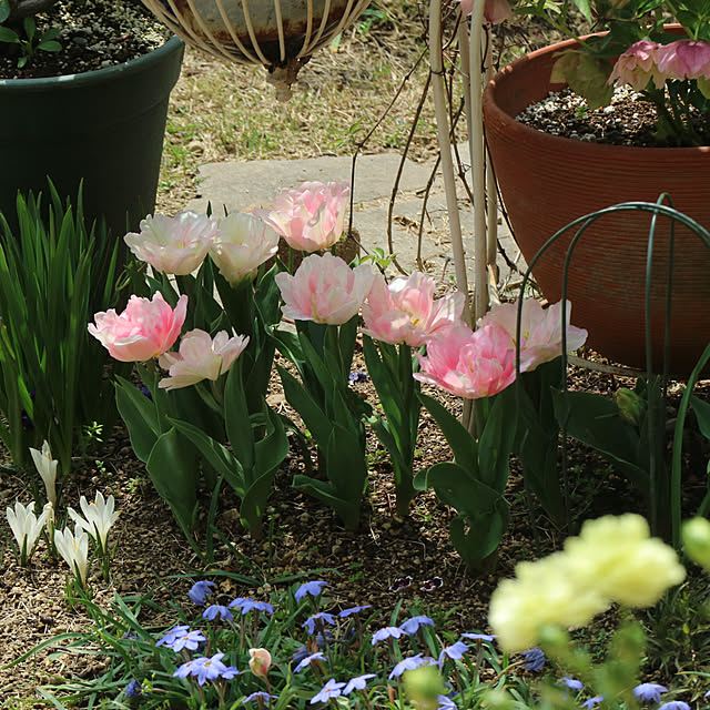 rokokoさんの実例写真