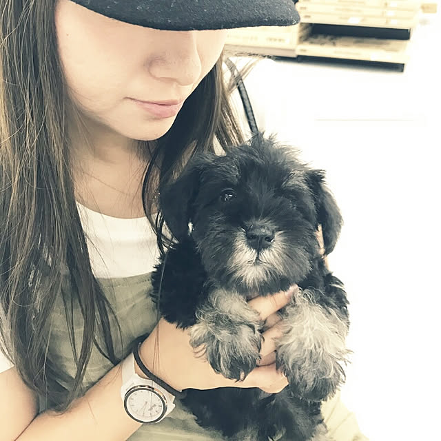 asaさんの実例写真