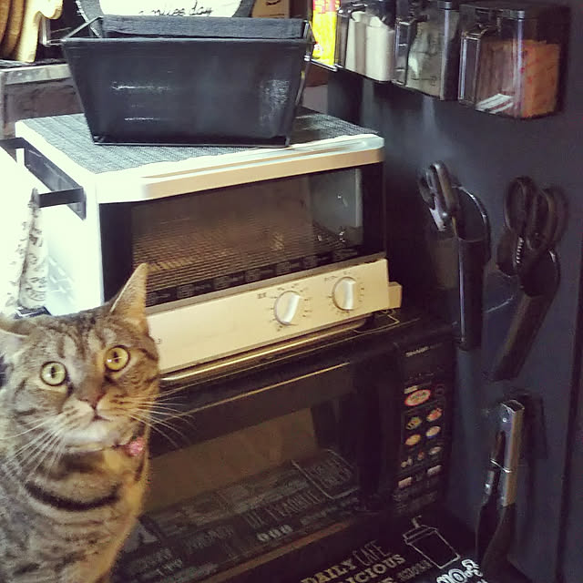 runaさんの実例写真