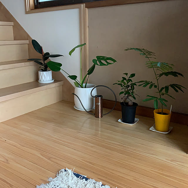 SHIZUKAさんの実例写真