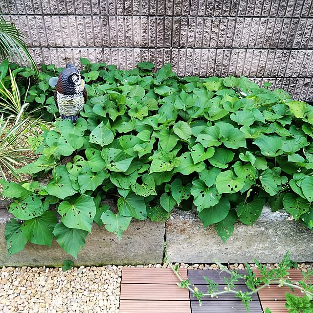 NAOKIさんの実例写真