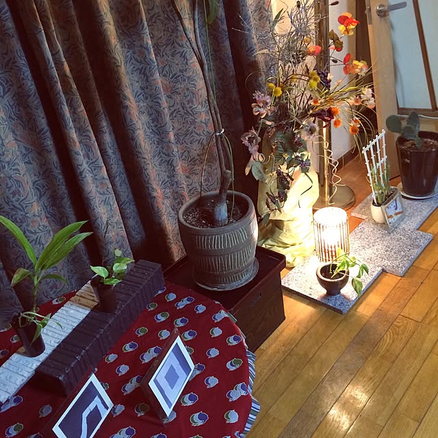 Milkyappleさんの実例写真