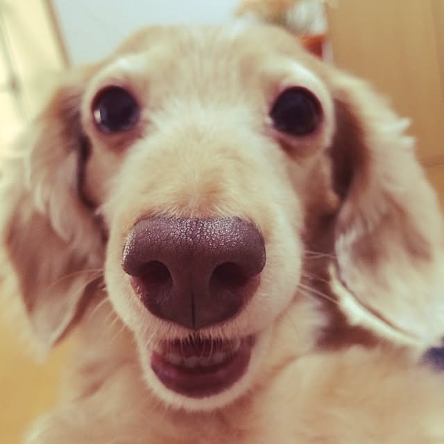 candy07さんの実例写真