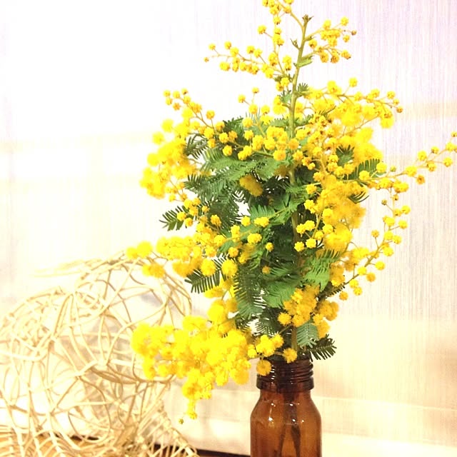 suzuranさんの実例写真