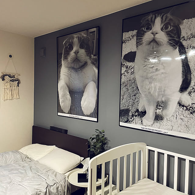 tansukeさんの部屋