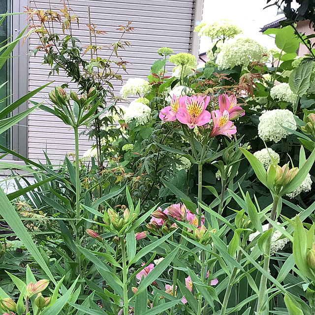 houenさんの部屋