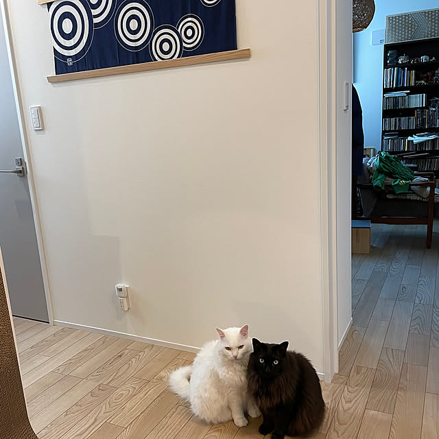 nuffyさんの実例写真