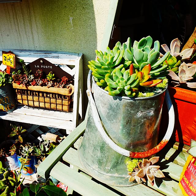 andante365さんの実例写真